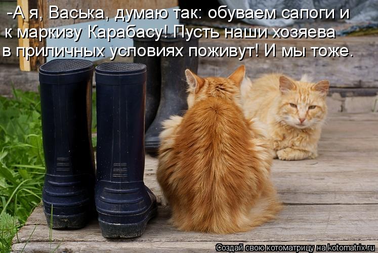 к маркизу Карабасу! Пусть наши хозяева в приличных условиях поживут! И мы тоже. -А я, Васька, думаю... Котоматрица: к маркизу Карабасу! Пусть наши хозяева в приличных условиях поживут! И мы тоже. -А я, Васька, думаю так: обуваем сапоги и