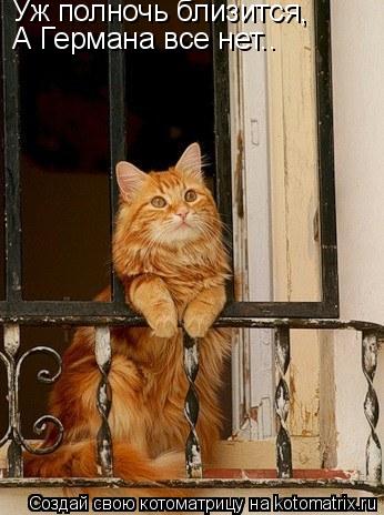 Уж полночь близится, А Германа все нет..... Котоматрица: Уж полночь близится, А Германа все нет..