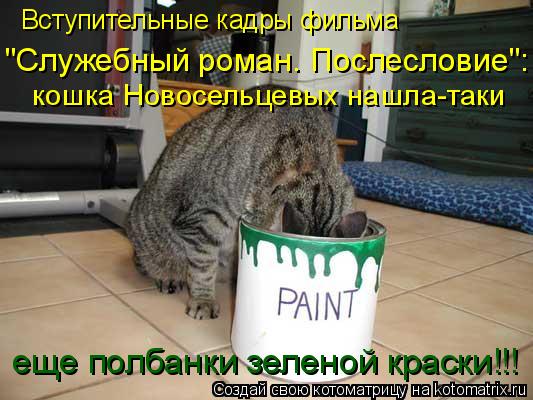 Вступительные кадры фильма "Служебный роман. Послесловие": кошка Новосельцевых нашла-таки еще полбан... Котоматрица: Вступительные кадры фильма "Служебный роман. Послесловие": кошка Новосельцевых нашла-таки еще полбанки зеленой краски!!!