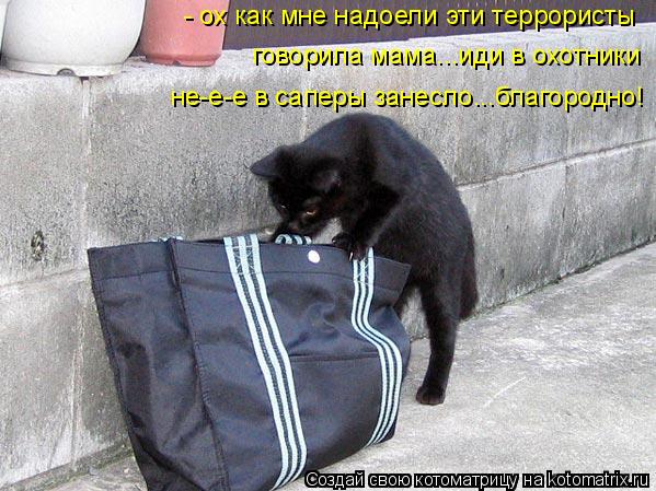 - ох как мне надоели эти террористы говорила мама...иди в охотники не-е-е в саперы занесло...благород... Котоматрица: - ох как мне надоели эти террористы говорила мама...иди в охотники не-е-е в саперы занесло...благородно!