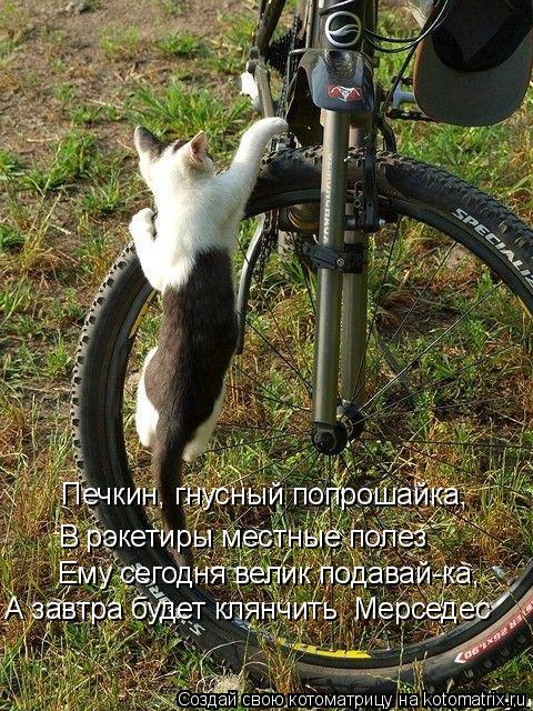 Печкин, гнусный попрошайка, В рэкетиры местные полез Ему сегодня велик подавай-ка, А завтра будет кл... Котоматрица: Печкин, гнусный попрошайка, В рэкетиры местные полез Ему сегодня велик подавай-ка, А завтра будет клянчить «Мерседес»