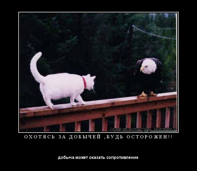 Котоматрица: О Х О Т Я С Ь   З А   Д О Б Ы Ч Е Й   , Б У Д Ь   О С Т О Р О Ж Е Н ! ! 