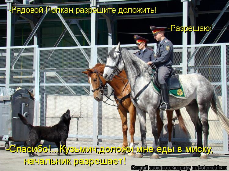 -Рядовой Полкан,разрешите доложить! -Разрешаю! -Спасибо!...Кузьмич,доложи мне еды в миску, начальник ... Котоматрица: -Рядовой Полкан,разрешите доложить! -Разрешаю! -Спасибо!...Кузьмич,доложи мне еды в миску, начальник разрешает!