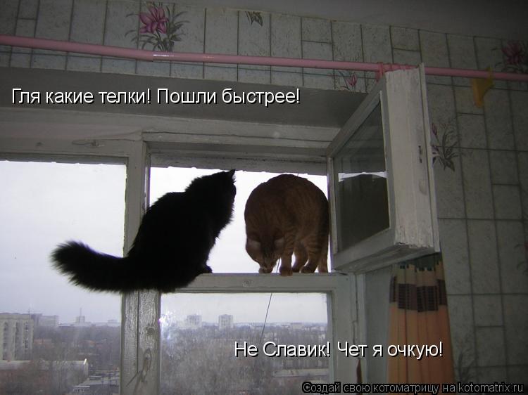 Гля какие телки! Пошли быстрее! Не Славик! Чет я очкую!... Котоматрица: Гля какие телки! Пошли быстрее! Не Славик! Чет я очкую!