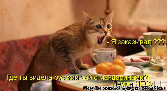 - Я заказывал ??? Где ты видела русский чай с мандаринами?! Лемон НЕСИ!!!... Котоматрица: - Я заказывал ??? Где ты видела русский чай с мандаринами?! Лемон НЕСИ!!!