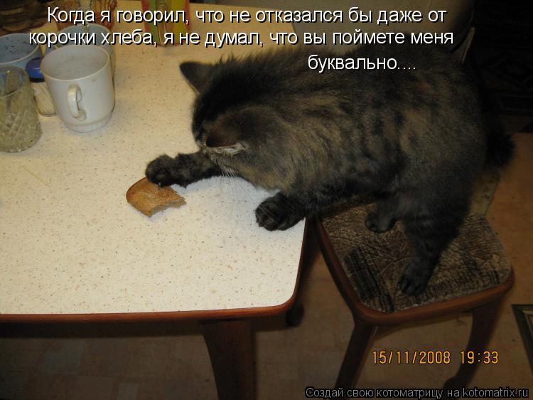 Когда я говорил, что не отказался бы даже от корочки хлеба, я не думал, что вы поймете меня буквальн... Котоматрица: Когда я говорил, что не отказался бы даже от корочки хлеба, я не думал, что вы поймете меня буквально....