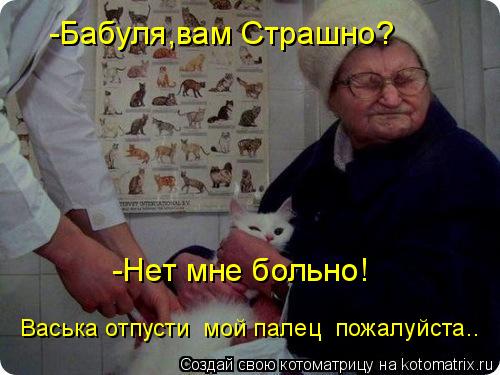-Бабуля,вам Страшно? -Нет мне больно! Васька отпусти мой палец пожалуйста..... Котоматрица: -Бабуля,вам Страшно? -Нет мне больно! Васька отпусти мой палец пожалуйста..