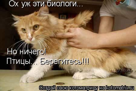 Ох уж эти биологи... Но ничего! Птицы... Берегитесь!!!... Котоматрица: Ох уж эти биологи... Но ничего! Птицы... Берегитесь!!!