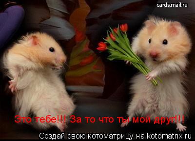 Это тебе!!! За то что ты мой друг!!! Это тебе!!! За то что ты мой друг!!!... Котоматрица: Это тебе!!! За то что ты мой друг!!! Это тебе!!! За то что ты мой друг!!!