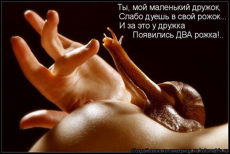 Ты, мой маленький дружок, Слабо дуешь в свой рожок... И за это у дружка Появились ДВА рожка!..... Котоматрица: Ты, мой маленький дружок, Слабо дуешь в свой рожок... И за это у дружка Появились ДВА рожка!..