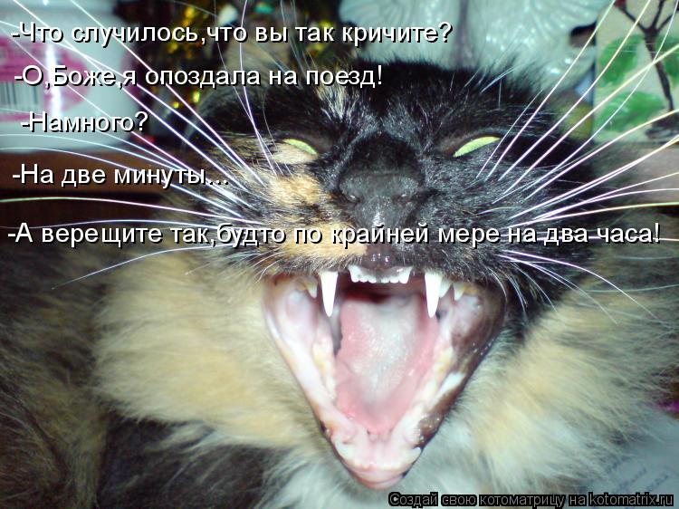Котоматрица: -Что случилось,что вы так кричите? -О,Боже,я опоздала на поезд!            -Намного?       -На две минуты...     -А верещите так,будто по крайней мере