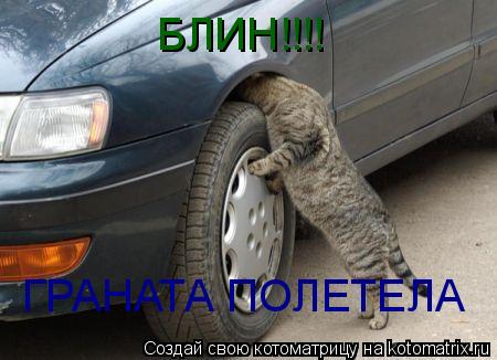 БЛИН!!!! ГРАНАТА ПОЛЕТЕЛА... Котоматрица: БЛИН!!!! ГРАНАТА ПОЛЕТЕЛА