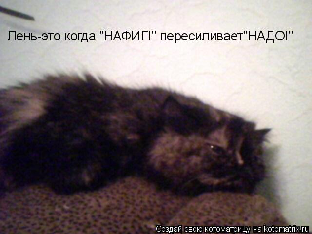 Котоматрица: Лень-это когда "НАФИГ!" пересиливает"НАДО!"
