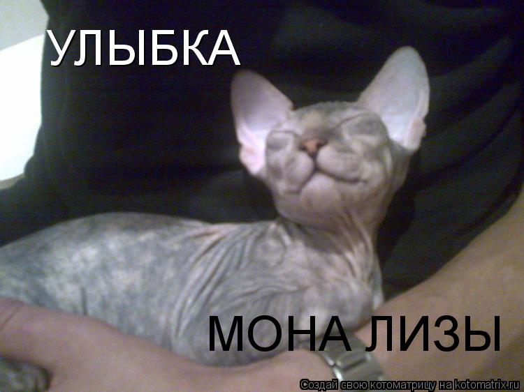 Котоматрица: УЛЫБКА МОНА ЛИЗЫ