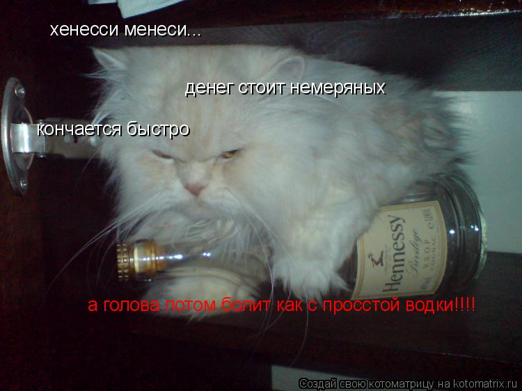 Котоматрица: хенесси менеси... денег стоит немеряных кончается быстро а голова потом болит как с просстой водки!!!!