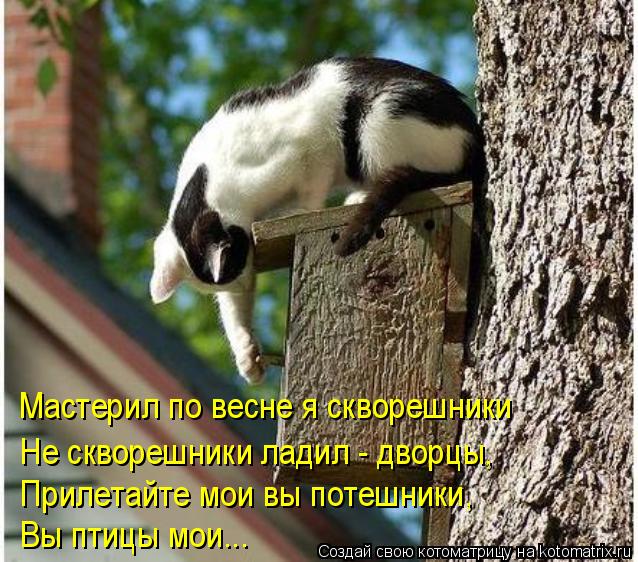 Котоматрица: Мастерил по весне я скворешники Прилетайте мои вы потешники, Вы птицы мои... Не скворешники ладил - дворцы,