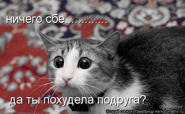 Котоматрица: ничего сбе............. да ты похудела подруга?