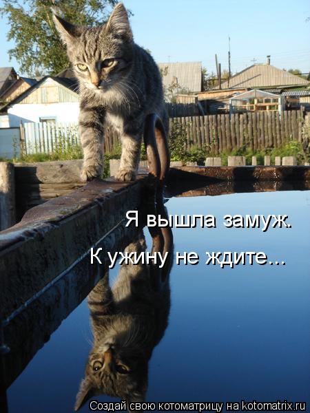 Котоматрица: Я вышла замуж. К ужину не ждите...
