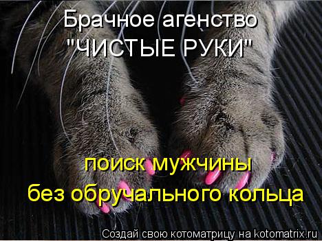 Котоматрица: поиск мужчины  без обручального кольца без обручального кольца Брачное агенство "ЧИСТЫЕ РУКИ"