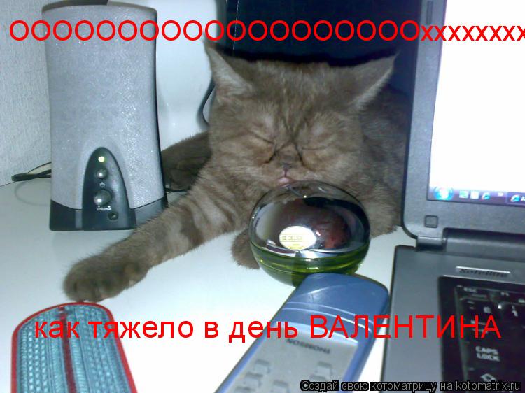 Котоматрица: ОООООООООООООООООООхххххххх как тяжело в день ВАЛЕНТИНА
