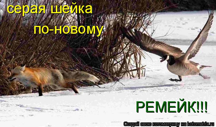 серая шейка по-новому РЕМЕЙК!!!... Котоматрица: серая шейка по-новому РЕМЕЙК!!!