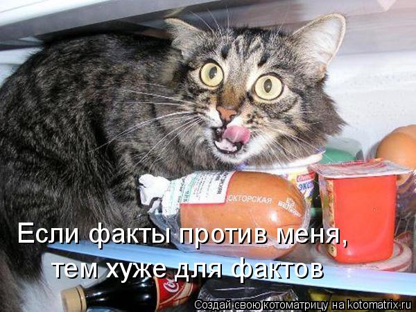 Котоматрица: Если факты против меня,  тем хуже для фактов