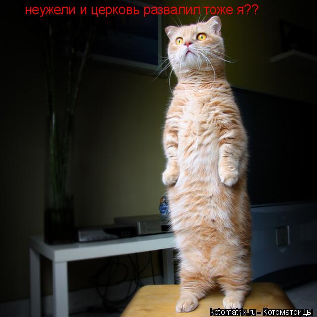 Котоматрица: неужели и церковь развалил тоже я??