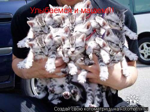 Котоматрица: Улыбаемся и машем!!!