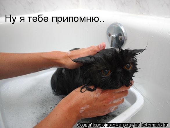 Котоматрица: Ну я тебе припомню..