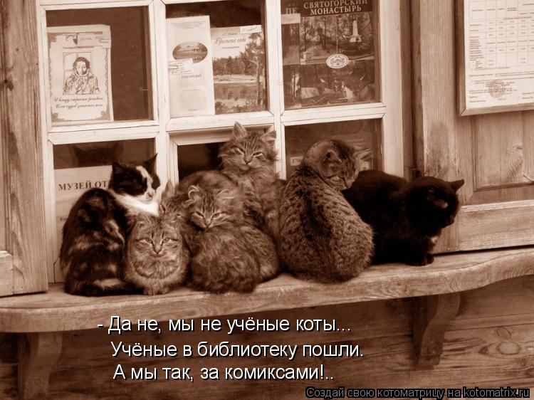 Котоматрица: - Да не, мы не учёные коты... Учёные в библиотеку пошли. А мы так, за комиксами!..