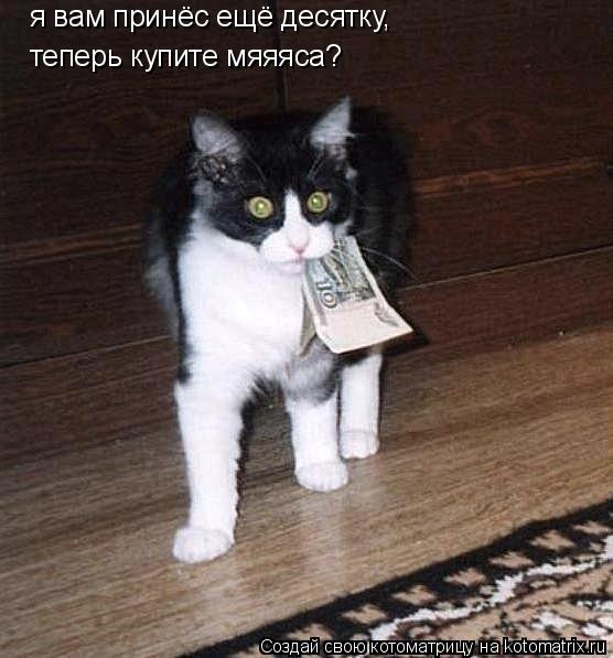 Котоматрица: я вам принёс ещё десятку, теперь купите мяяяса?