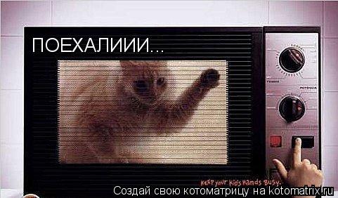 Котоматрица: ПОЕХАЛИИИ...