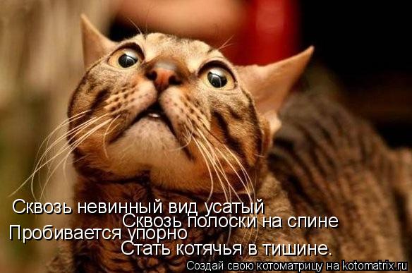 Сквозь невинный вид усатый Сквозь полоски на спине Пробивается упорно Стать котячья в тишине.... Котоматрица: Сквозь невинный вид усатый Сквозь полоски на спине Пробивается упорно Стать котячья в тишине.