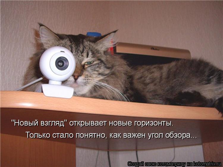 Котоматрица: "Новый взгляд" открывает новые горизонты. Только стало понятно, как важен угол обзора...