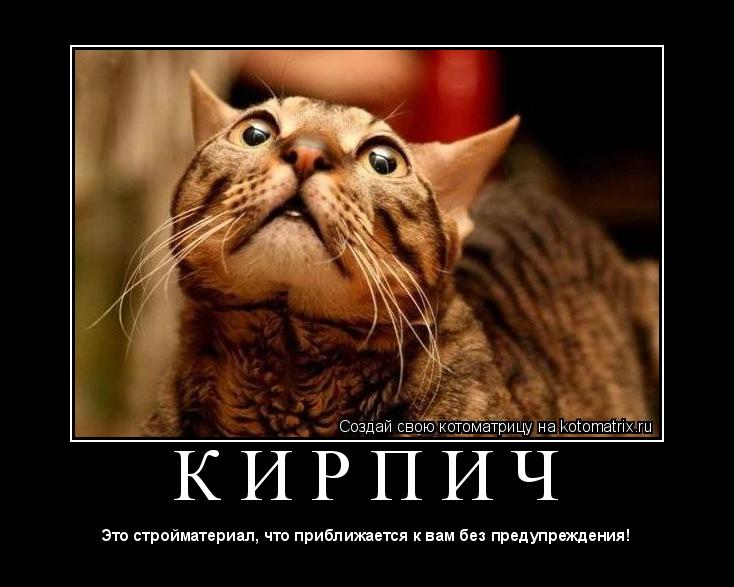 К И Р П И Ч ... Котоматрица: К И Р П И Ч