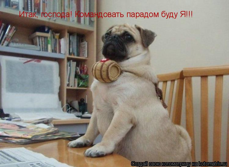 Котоматрица: Итак, господа! Командовать парадом буду Я!!!