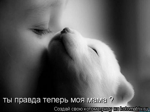 Котоматрица: ты правда теперь моя мама ?