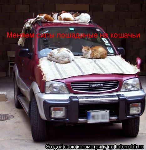Меняем силы лошадиные на кошачьи... Котоматрица: Меняем силы лошадиные на кошачьи