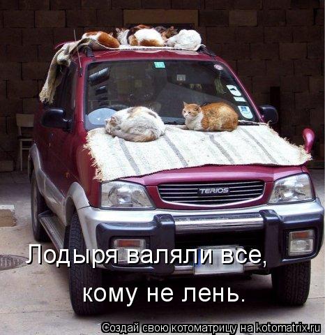 Котоматрица: Лодыря валяли все, кому не лень.
