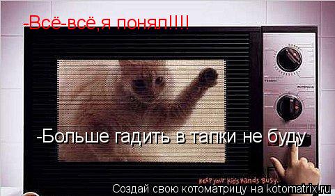 Котоматрица: -Всё-всё,я понял!!!! -Больше гадить в тапки не буду