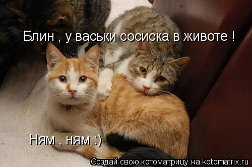 Котоматрица: Блин , у васьки сосиска в животе ! Ням , ням :)