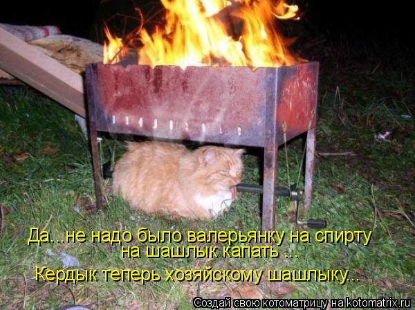 Да...не надо было валерьянку на спирту на шашлык капать ... Кердык теперь хозяйскому шашлыку...... Котоматрица: Да...не надо было валерьянку на спирту на шашлык капать ... Кердык теперь хозяйскому шашлыку...
