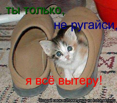Котоматрица: ты только,  не ругайси, я всё вытеру!