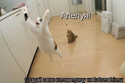 Котоматрица: Алелуя!