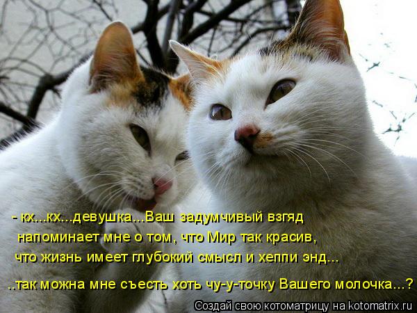 Котоматрица: - кх...кх...девушка...Ваш задумчивый взгяд напоминает мне о том, что Мир так красив,  что жизнь имеет глубокий смысл и хеппи энд... ..так можна мне 