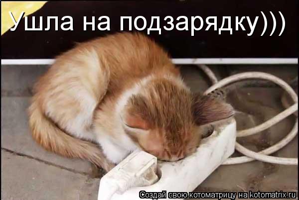Котоматрица: Ушла на подзарядку)))