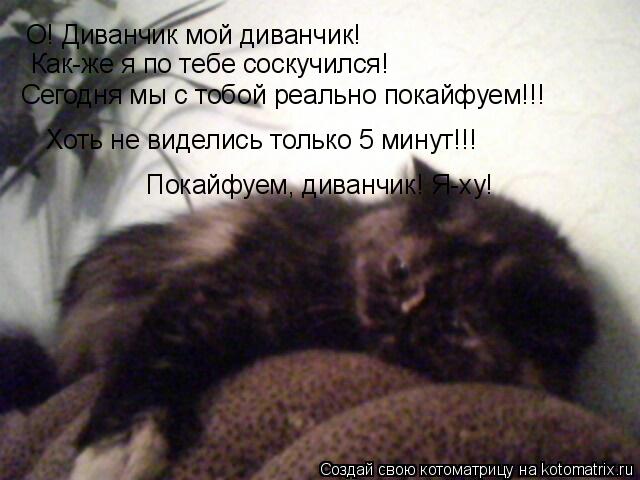 Котоматрица: О! Диванчик мой диванчик! Как-же я по тебе соскучился! Сегодня мы с тобой реально покайфуем!!! Хоть не виделись только 5 минут!!! Покайфуем, див