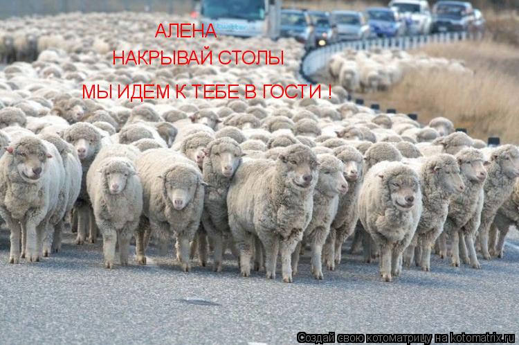 Котоматрица: АЛЕНА НАКРЫВАЙ СТОЛЫ МЫ ИДЕМ К ТЕБЕ В ГОСТИ !