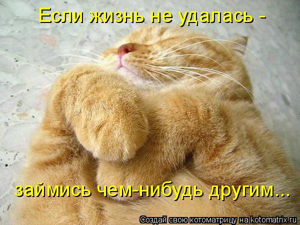 Если жизнь не удалась - займись чем-нибудь другим...... Котоматрица: Если жизнь не удалась - займись чем-нибудь другим...