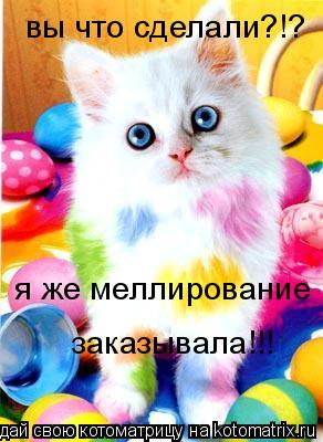 Котоматрица: вы что сделали?!? вы что сделали?!? я же меллирование заказывала!!!